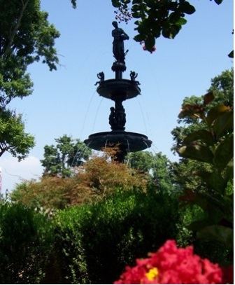 Central Park Fountain Around Vegetation