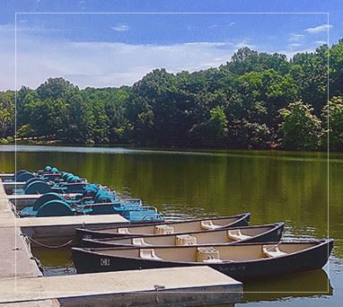 Boats tied to a dock with trees in the background